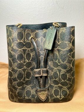 Coach Rowan Loved Signature Bucket Bag